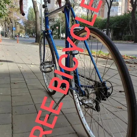 Art With Treasure Hunt, Free Parking & Self Check-in Constanta